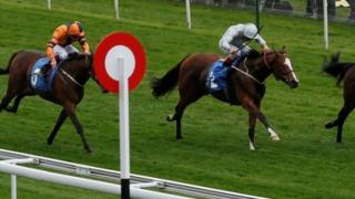 It's Flat Cap and Whippet Day at Pontefract on Sunday